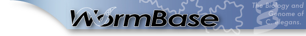 WormBase Banner